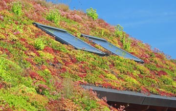Mattingley living roof systems